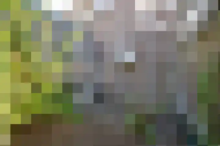 Ruitersweg 11 C Hilversum thumbnail 13