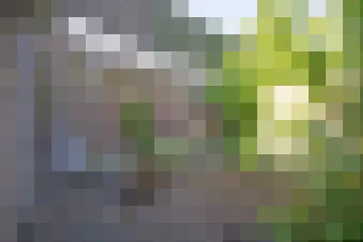 Ruitersweg 11 C Hilversum thumbnail 14