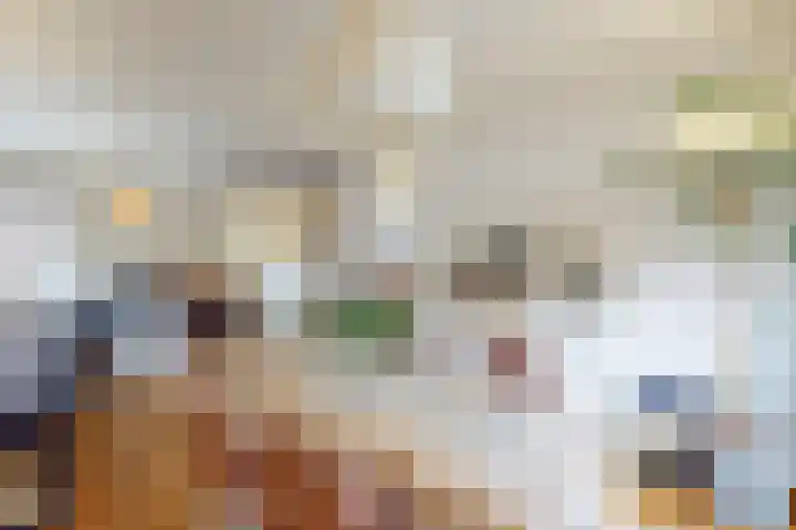 Ruitersweg 11 Susteren thumbnail 12