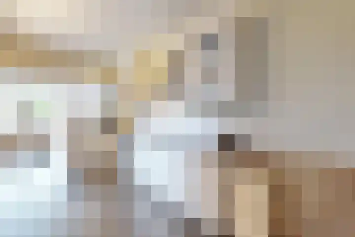 Ruitersweg 11 Susteren thumbnail 14