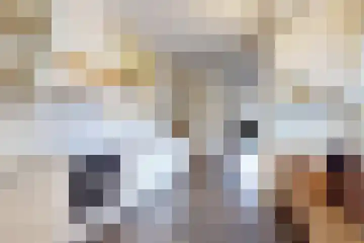 Ruitersweg 11 Susteren thumbnail 16