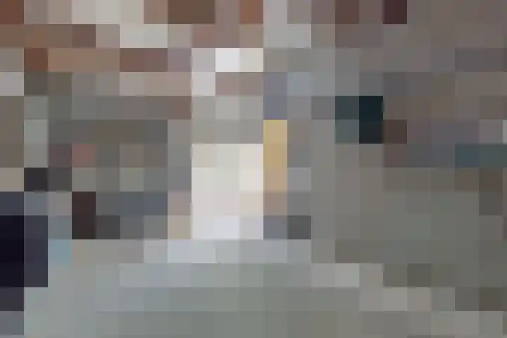 Ruitersweg 11 Susteren thumbnail 27