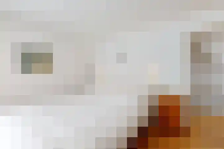 Ruitersweg 11 Susteren thumbnail 31