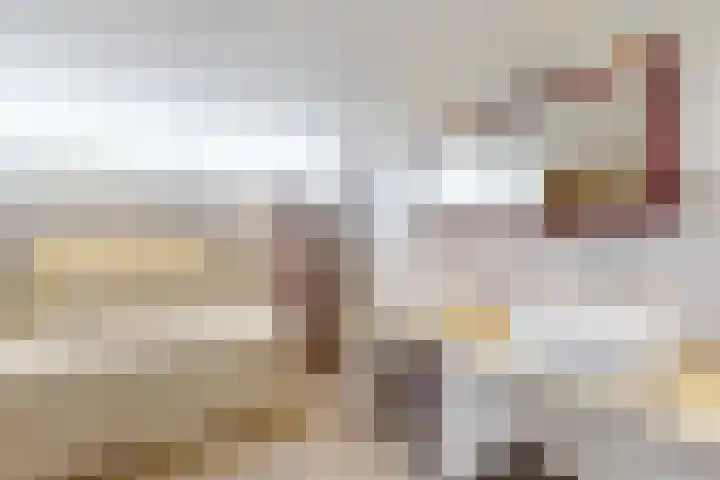 Ruitersweg 11 Susteren thumbnail 35