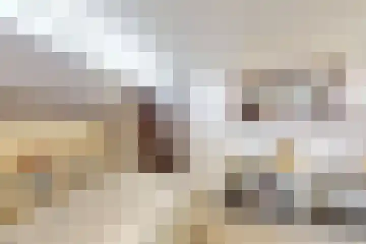 Ruitersweg 11 Susteren thumbnail 37