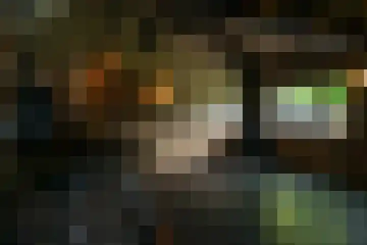 Ruitersweg 11 Susteren thumbnail 46