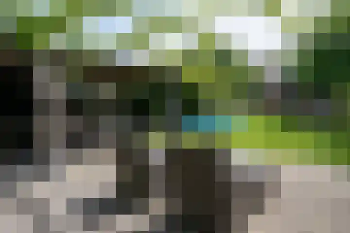 Ruitersweg 11 Susteren thumbnail 47