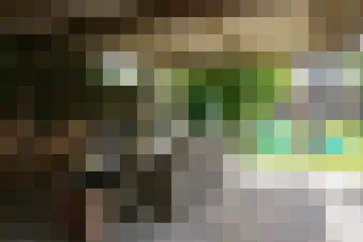 Ruitersweg 11 Susteren thumbnail 48