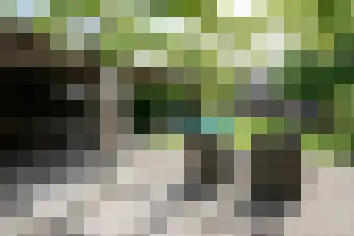 Ruitersweg 11 Susteren thumbnail 55