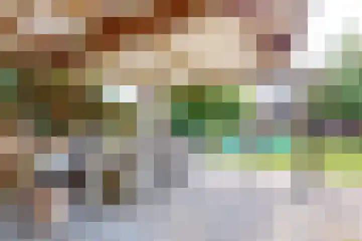 Ruitersweg 11 Susteren thumbnail 56