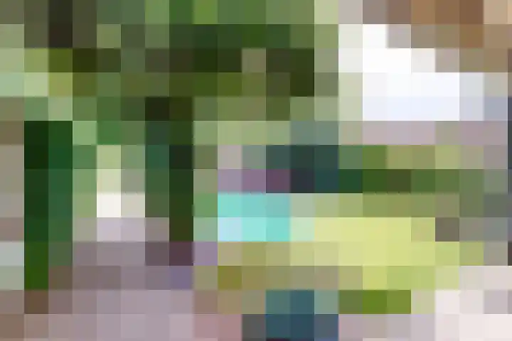 Ruitersweg 11 Susteren thumbnail 58