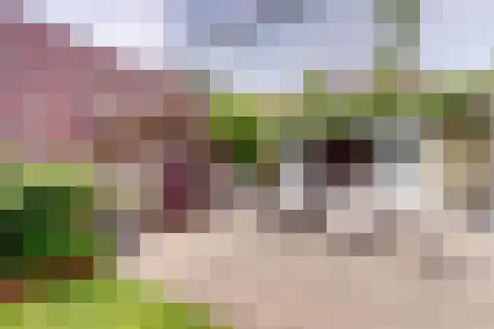 Ruitersweg 11 Susteren thumbnail 59