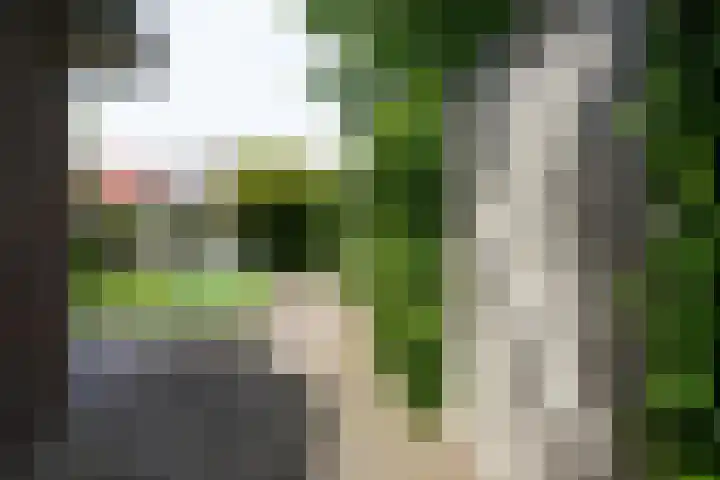 Ruitersweg 11 Susteren thumbnail 66