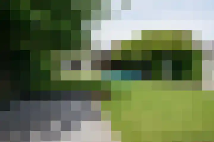 Ruitersweg 11 Susteren thumbnail 68