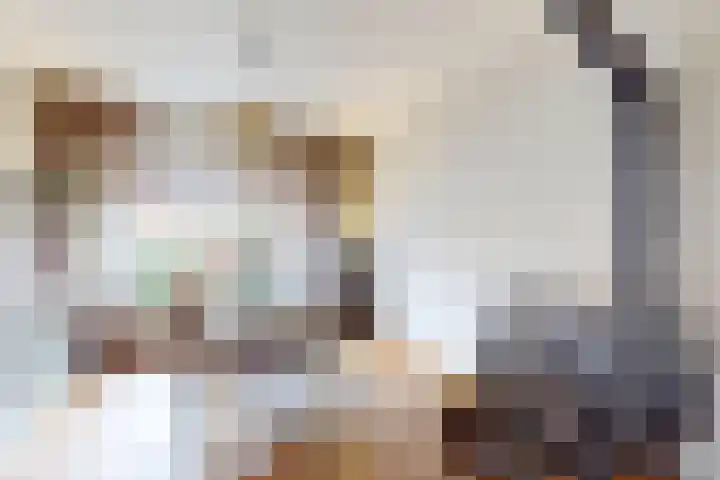 Ruitersweg 11 Susteren thumbnail 8