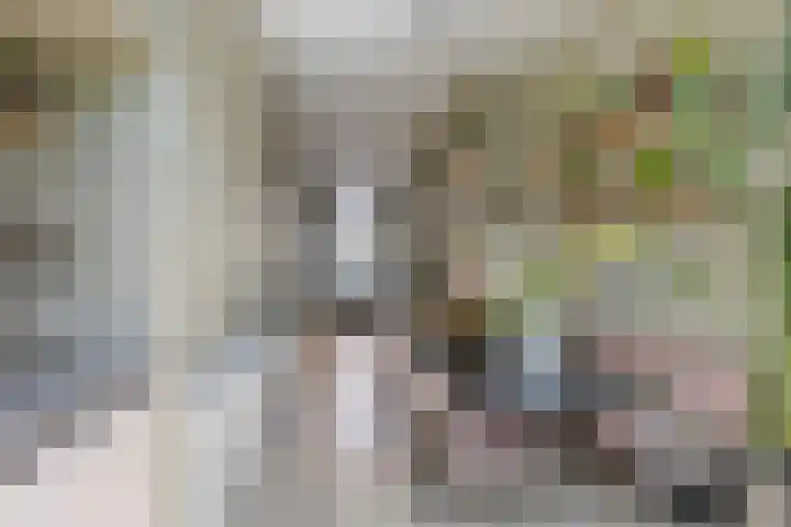 Ruitersweg 115 Hilversum thumbnail 16