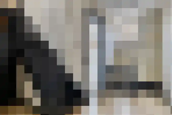 Ruitersweg 115 Hilversum thumbnail 17