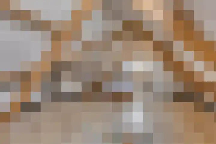 Ruitersweg 115 Hilversum thumbnail 34