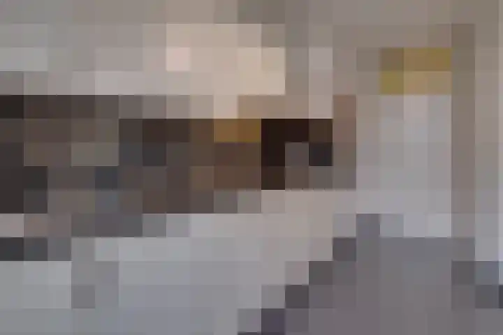 Ruitersweg 24 Susteren thumbnail 14