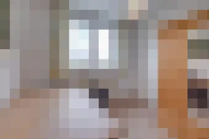 Ruitersweg 24 Susteren thumbnail 19