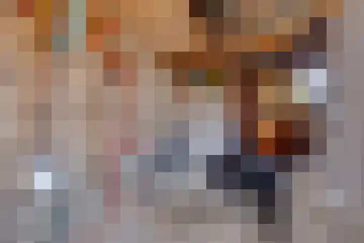 Ruitersweg 24 Susteren thumbnail 31
