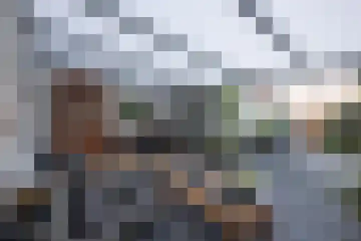 Ruitersweg 24 Susteren thumbnail 5