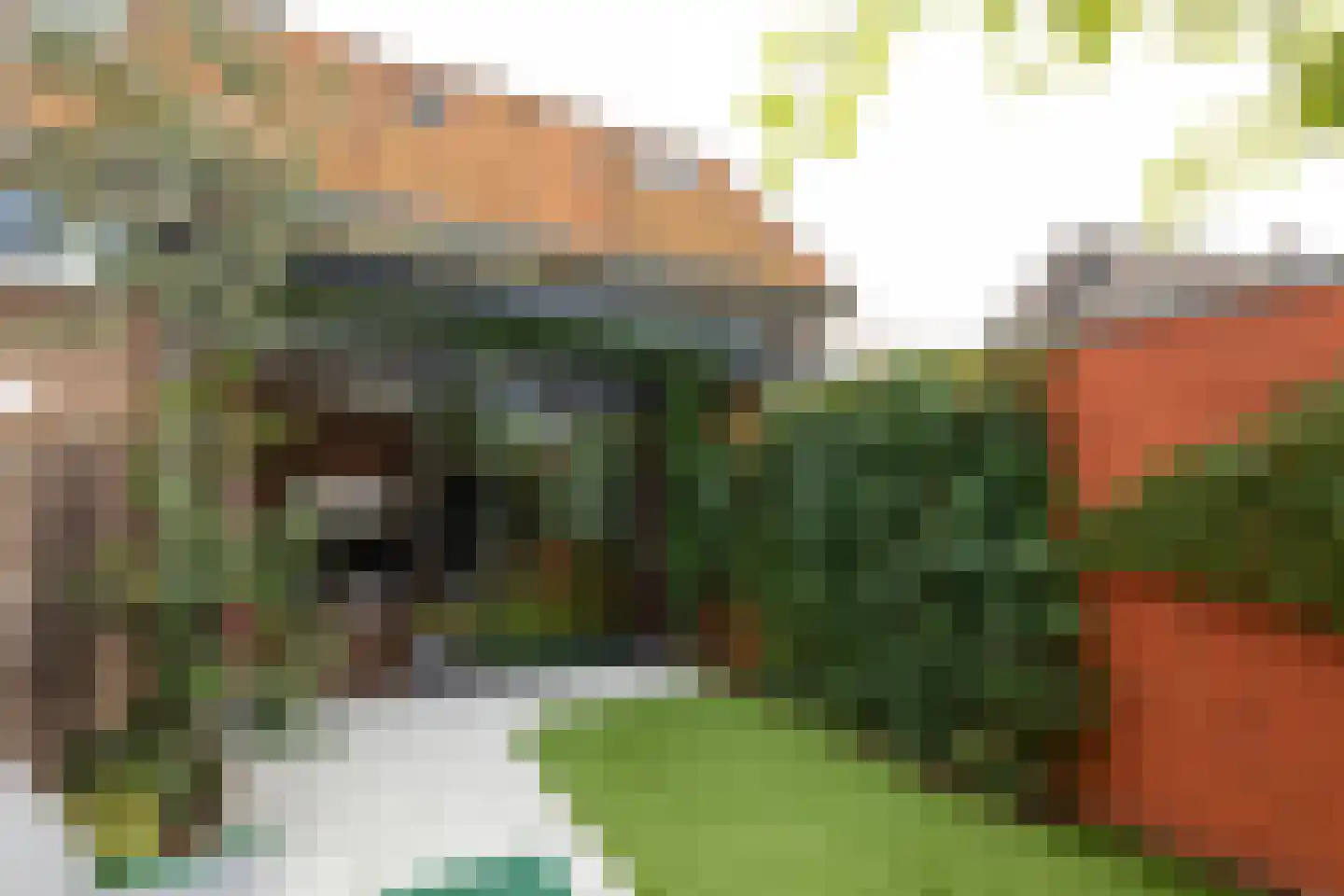 Ruitersweg 28 Hilversum thumbnail 27