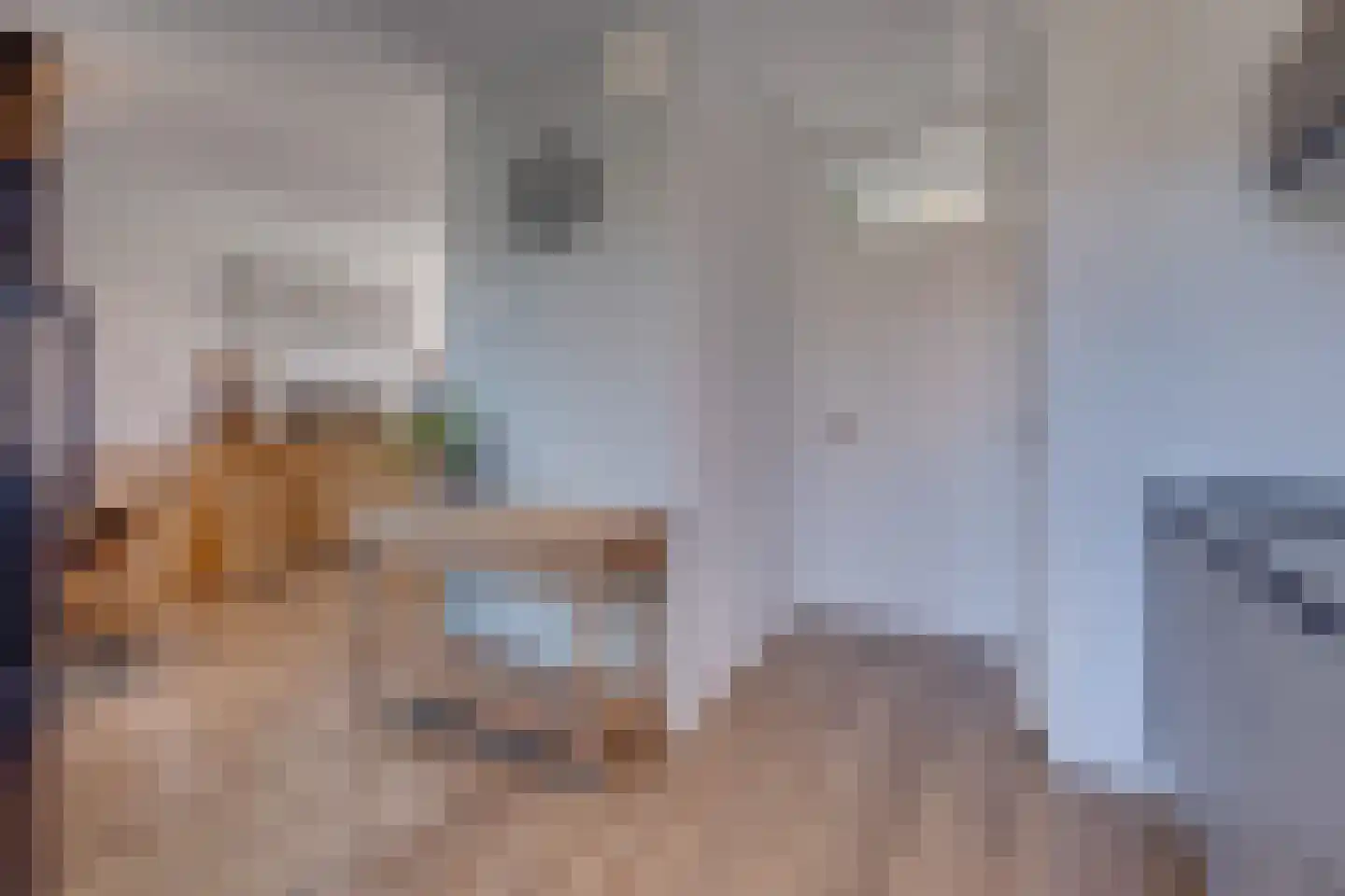 Ruitersweg 36 Susteren thumbnail 10