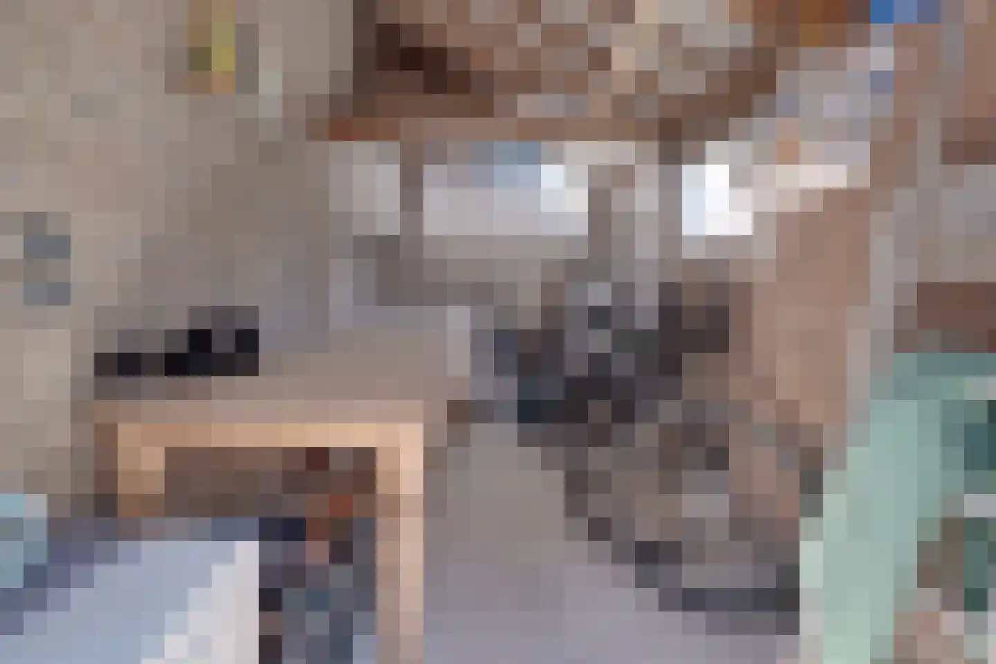 Ruitersweg 36 Susteren thumbnail 27