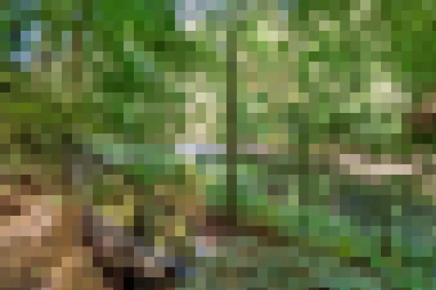 Ruitersweg 54 Hilversum thumbnail 46