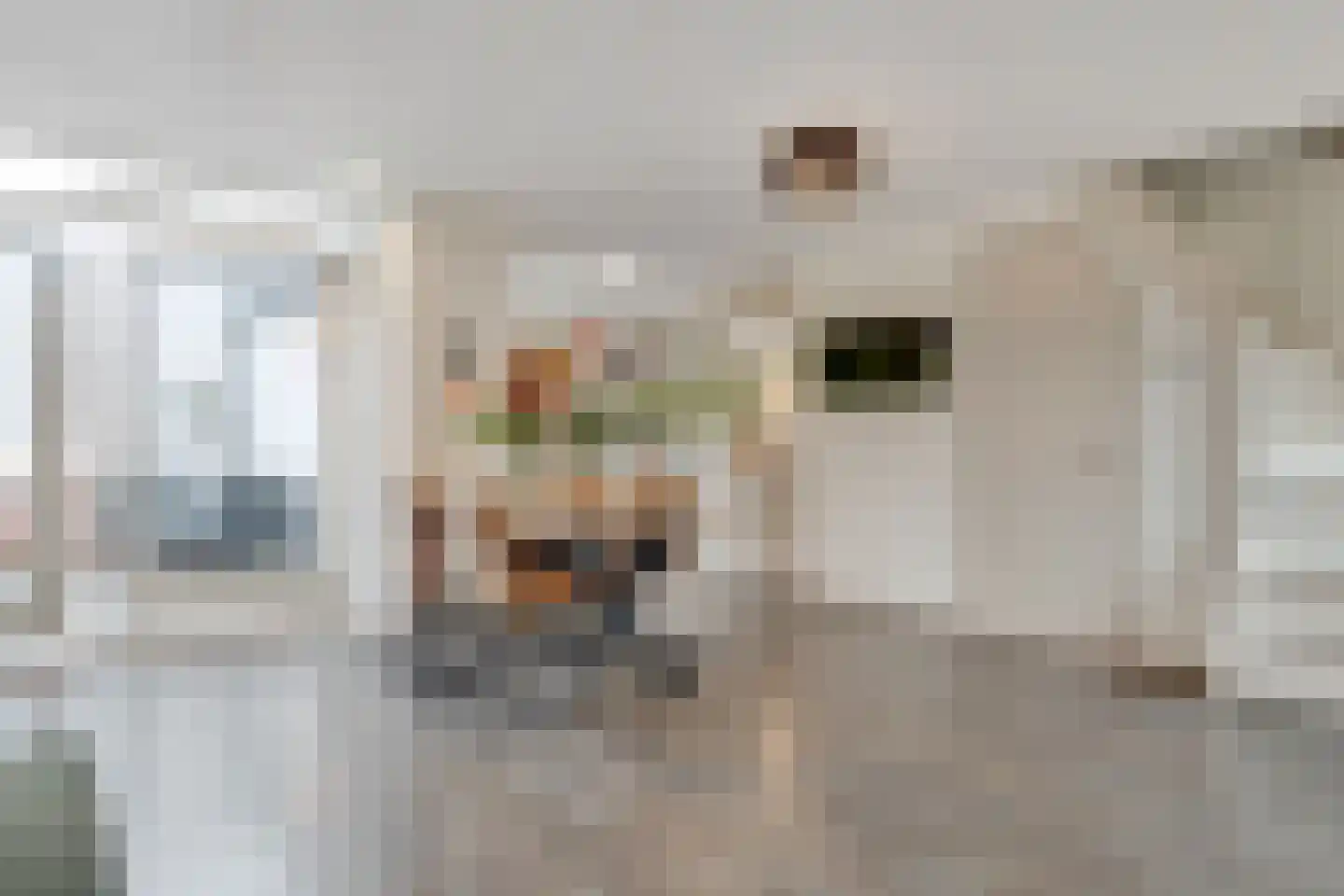Ruitersweg 54 Hilversum thumbnail 7