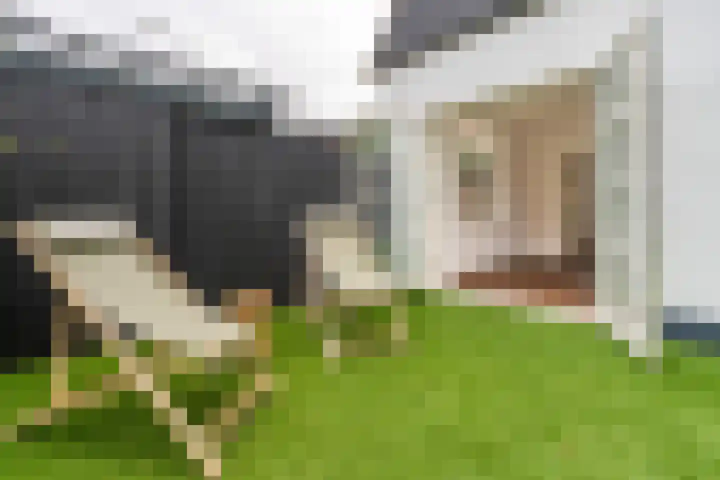 Ruitersweg 6 Hilversum thumbnail 31