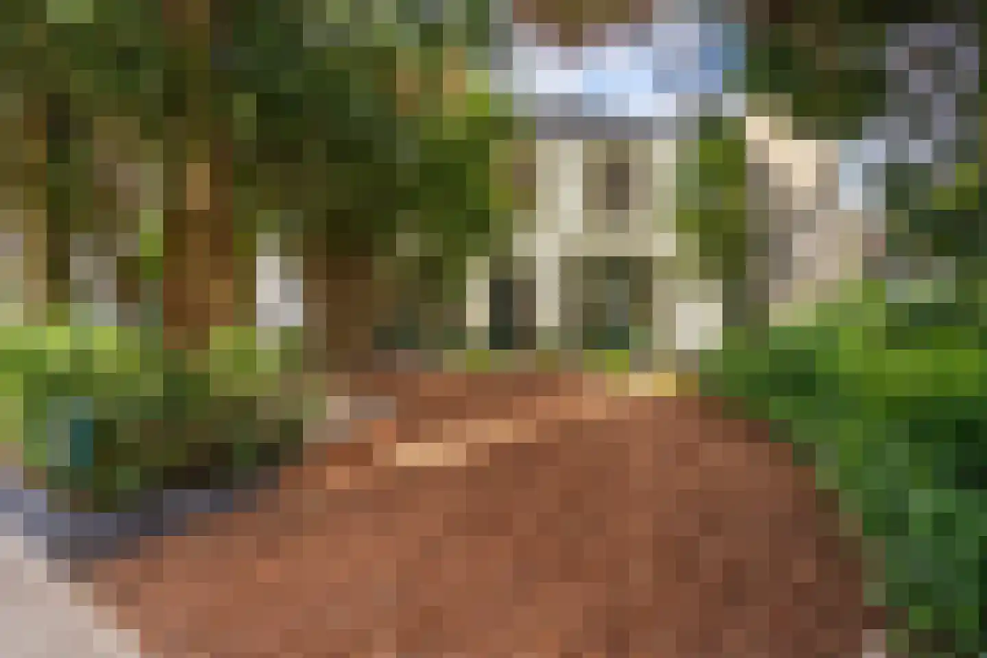 Ruitersweg 6 Hilversum thumbnail 5