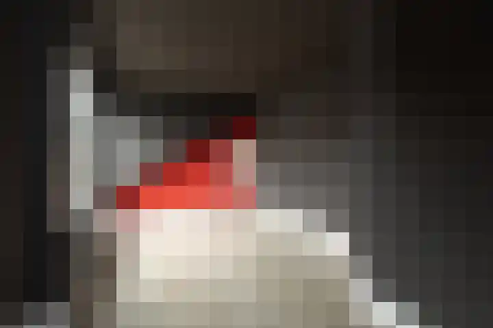 Ruitersweg 64 A Hilversum thumbnail 17