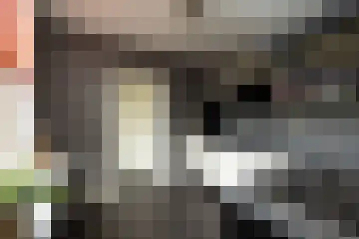 Ruitersweg 64 A Hilversum thumbnail 6