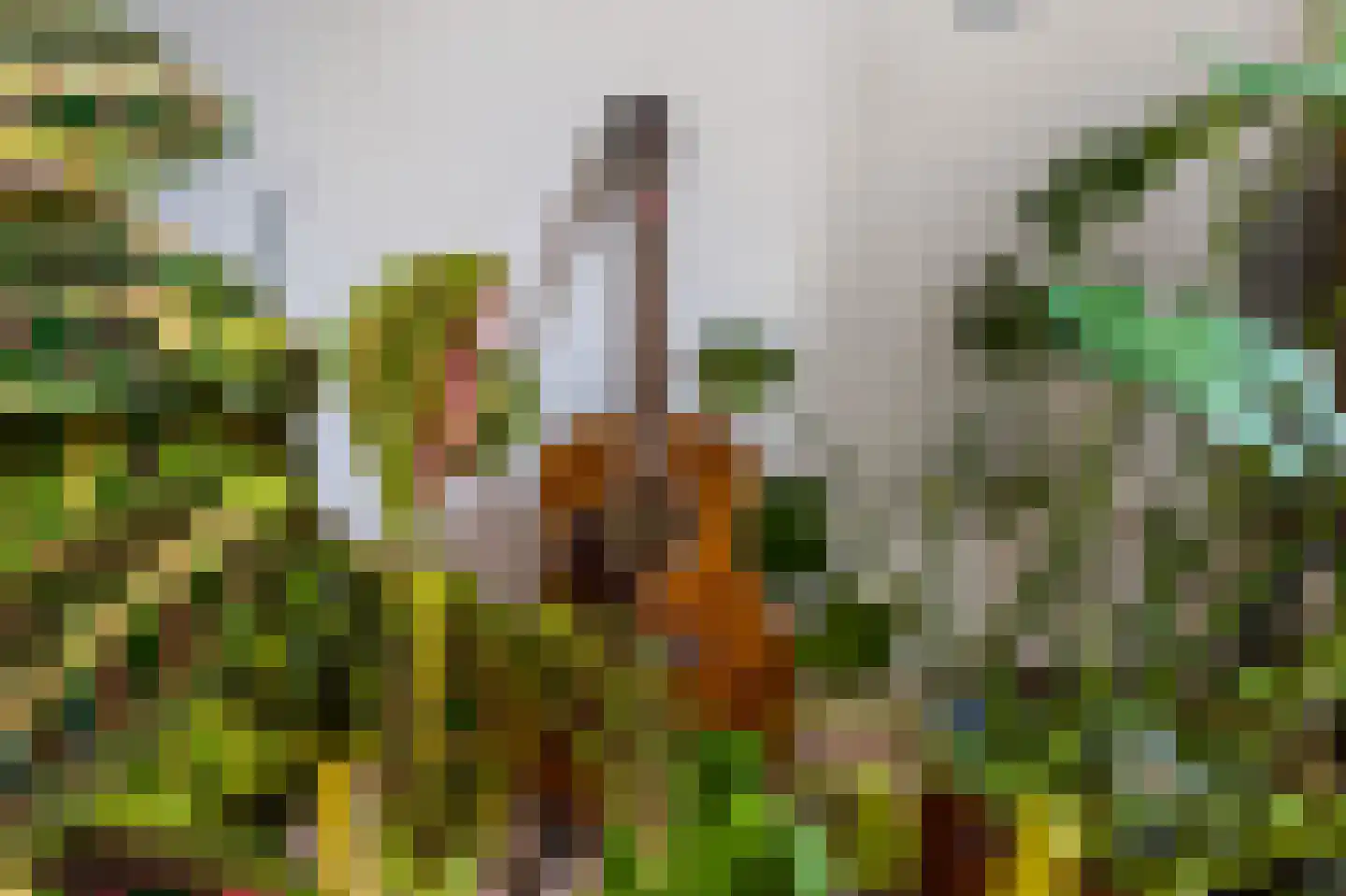 Ruitersweg 74 Hilversum thumbnail 20