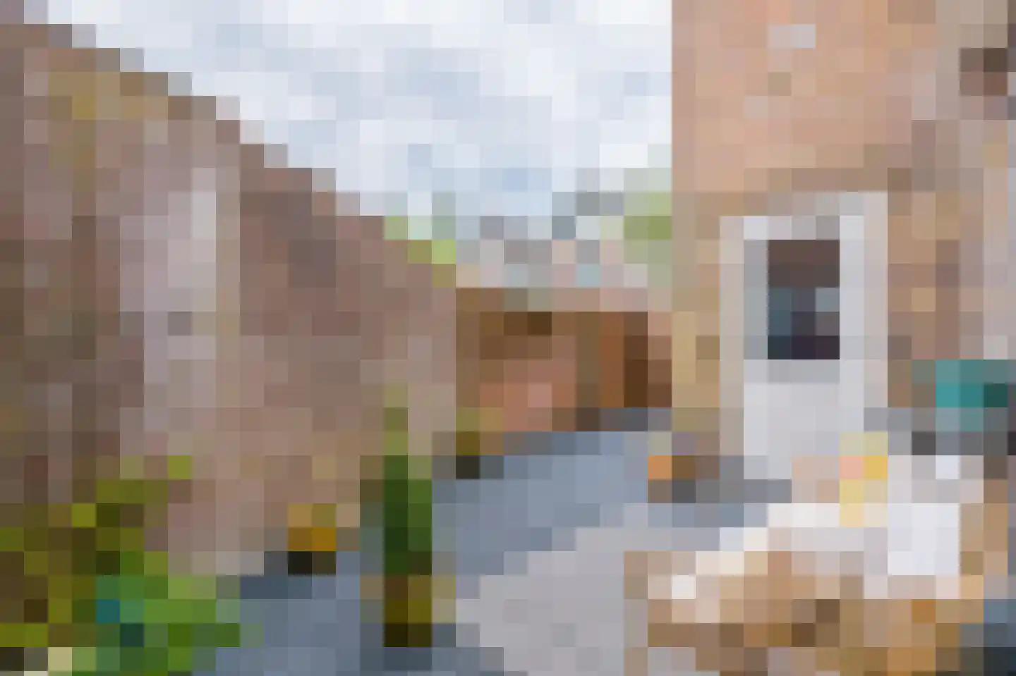 Ruitersweg 74 Hilversum thumbnail 24