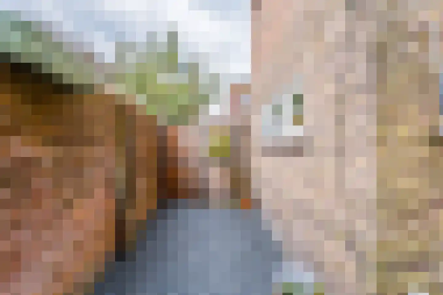Ruitersweg 74 Hilversum thumbnail 26
