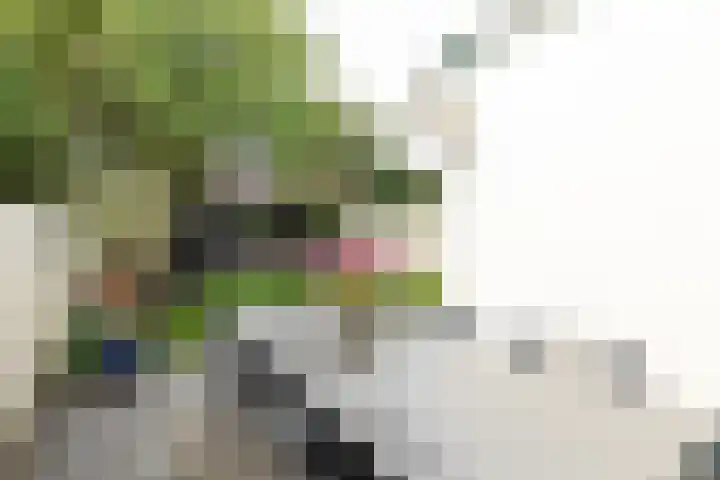 Ruitersweg 93 Hilversum thumbnail 23