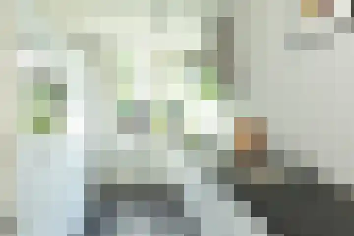 Ruitersweg 93 Hilversum thumbnail 9