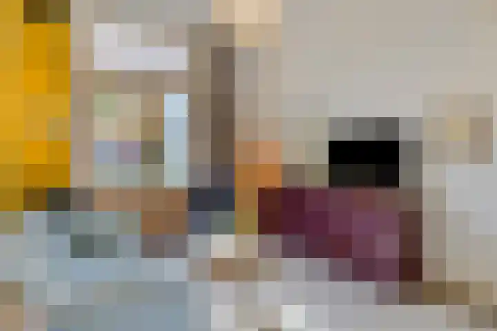 Ruitersweg 99 Hilversum thumbnail 11
