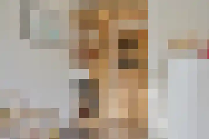 Ruitersweg 99 Hilversum thumbnail 17
