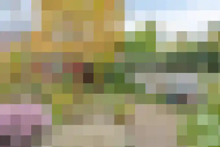 Ruitersweg 99 Hilversum thumbnail 32