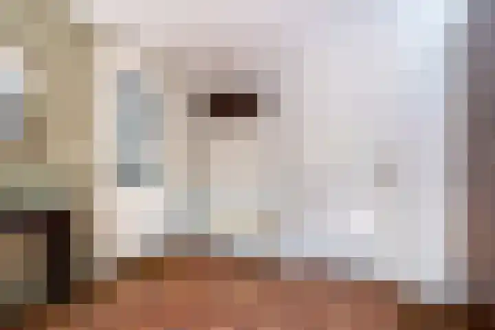 Ruiterweg 15 Schipborg thumbnail 15
