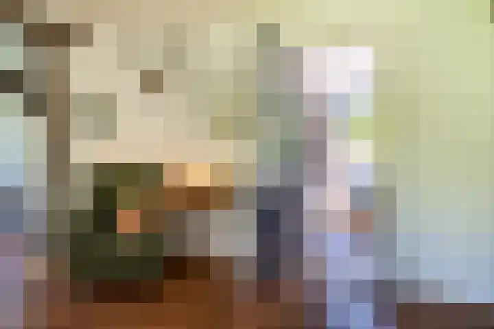 Ruiterweg 15 Schipborg thumbnail 23