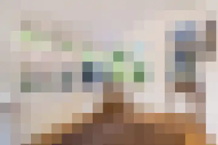Ruiterweg 15 Schipborg thumbnail 34
