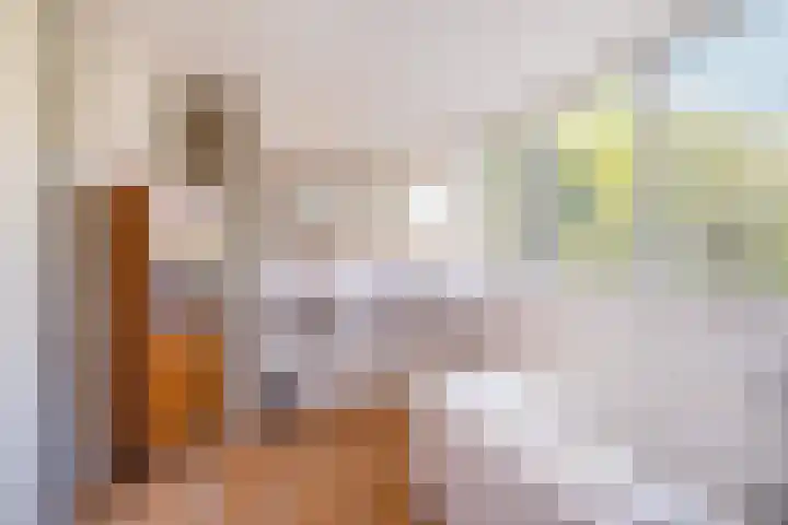 Ruiterweg 15 Schipborg thumbnail 46