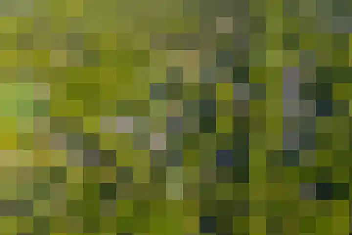 Ruiterweg 15 Schipborg thumbnail 5