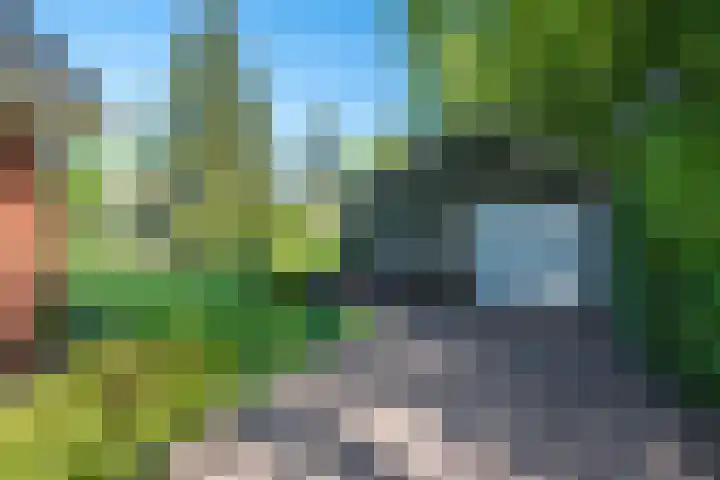 Ruiterweg 15 Schipborg thumbnail 52
