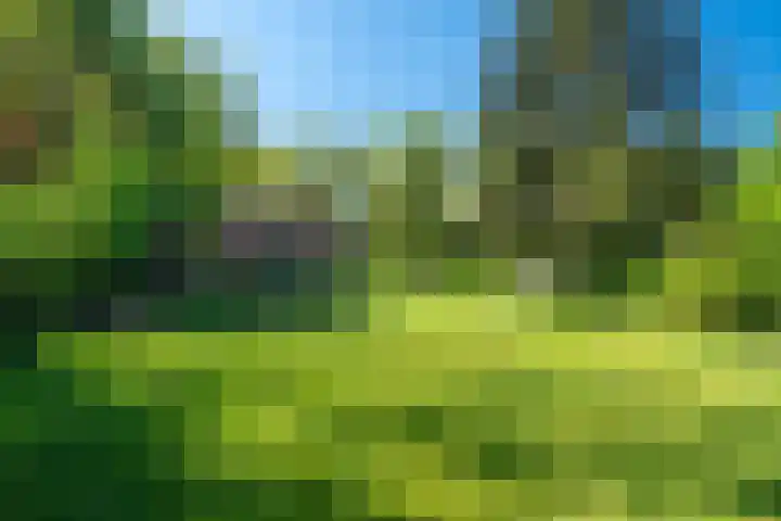 Ruiterweg 15 Schipborg thumbnail 56